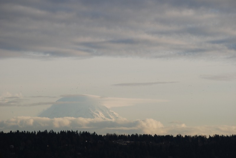 DSC_0179 (800x536)