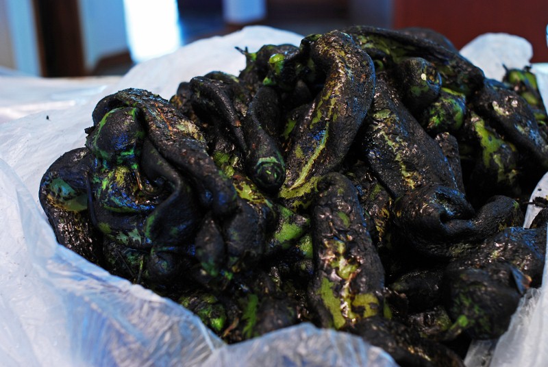 Fresh roasted green chile DSC_0005A (800x536)